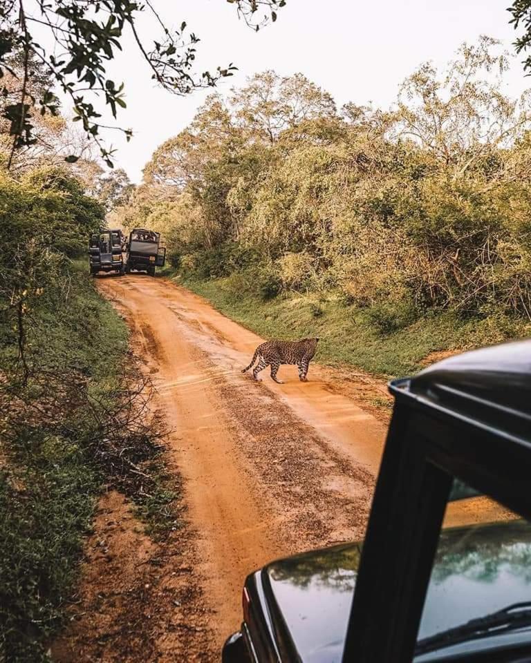 Kottamba Yala Stay & Safari Тиссамахарама Экстерьер фото