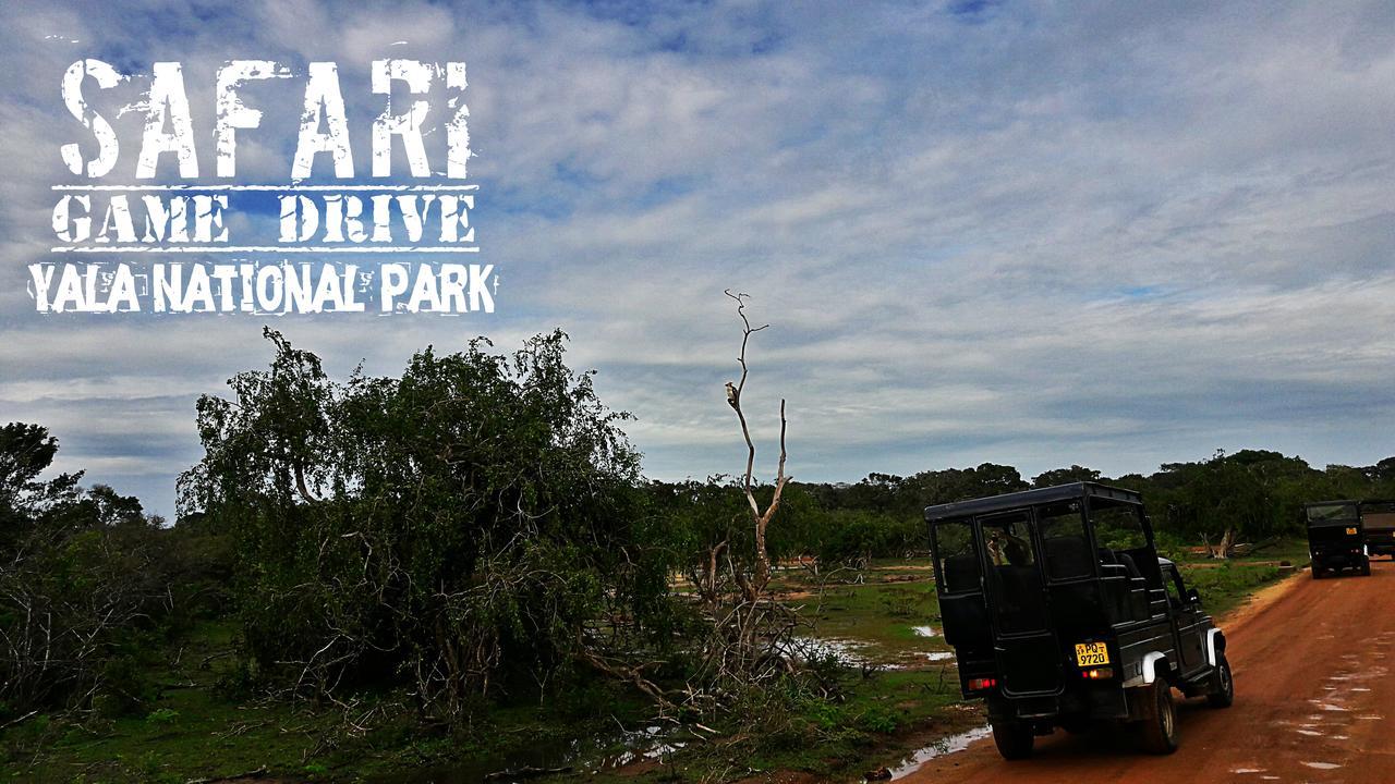 Kottamba Yala Stay & Safari Тиссамахарама Экстерьер фото
